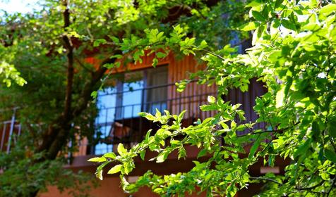 Туристическая база отдыха Нефтяник, Туапсинский район, п. Бухта Инал