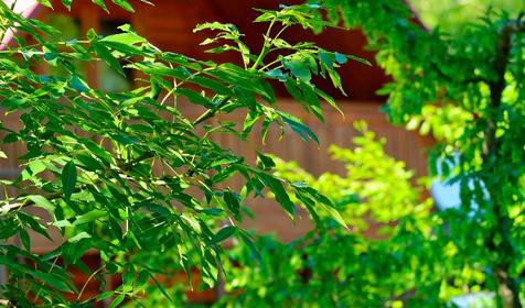 Туристическая база отдыха Нефтяник, Туапсинский район, п. Бухта Инал