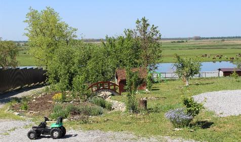 Территория. Дом у реки Раздолье, г. Тимашевск, ст. Новокорсунская