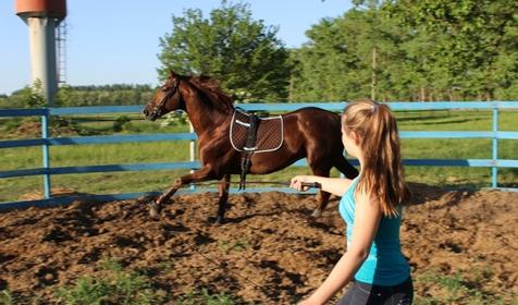 Конеферма. Дом у реки Раздолье, г. Тимашевск, ст. Новокорсунская