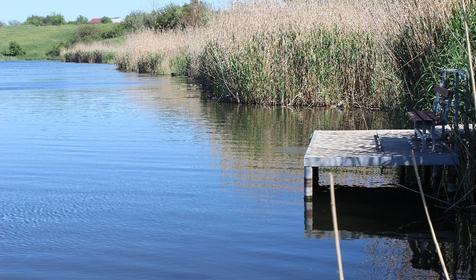 Территория. Дом у реки Раздолье, г. Тимашевск, ст. Новокорсунская