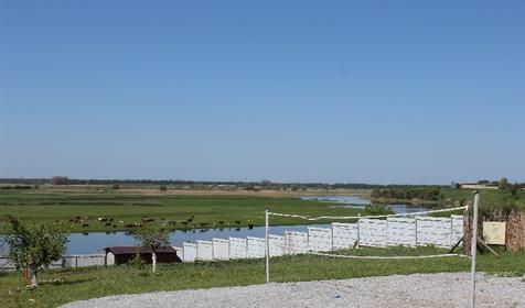 Территория. Дом у реки Раздолье, г. Тимашевск, ст. Новокорсунская