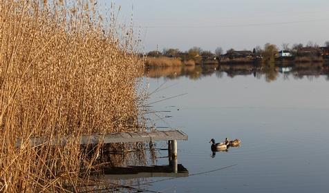 Территория. Дом у реки Раздолье, г. Тимашевск, ст. Новокорсунская
