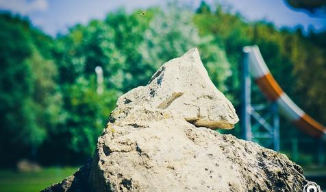 Аквапарк Экватор в г. Краснодар