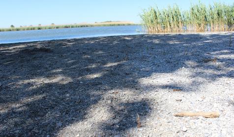 База отдыха "Разгуляй". г. Тимашевск