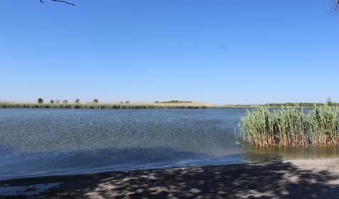 База отдыха "Разгуляй". г. Тимашевск