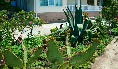 Гостевой дом Горный простор, г. Адлер