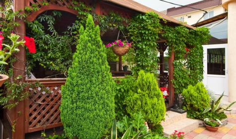 Территория. Отель Эдельвейс, г. Сочи, Адлерский район