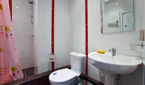 Трехместный полулюкс. Отель Эдельвейс, г. Сочи, Адлерский район