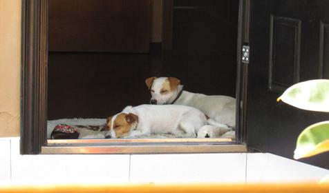 Гостиница Прибой. г. Сочи, п. Лоо