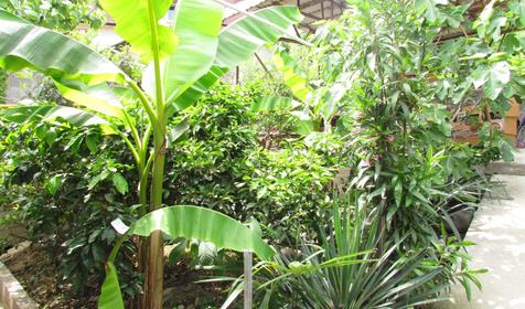 Звездочка.Гостевой дом.Сочи.Лоо