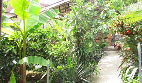 Звездочка.Гостевой дом.Сочи.Лоо