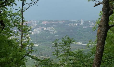 Сафари-парк, Геленджик