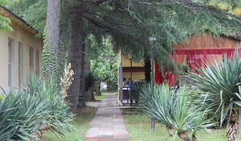 База отдыха У моря. Сочи, Лазаревское