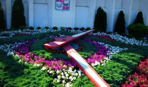 Цветочные часы