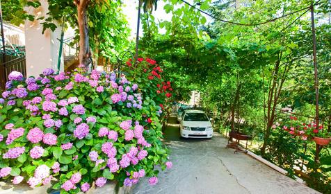 Гостевой дом Аэлита, Сочи, Адлер