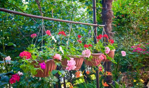 Гостевой дом Аэлита, Сочи, Адлер