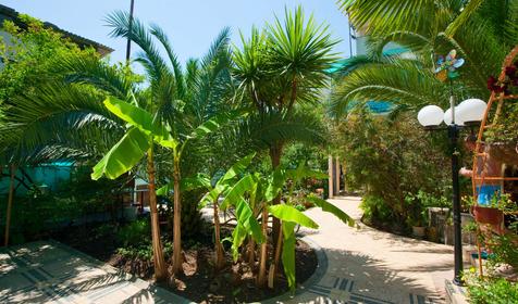 Гостевой дом Дельфин, г. Сочи, Адлер