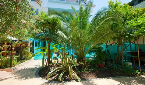 Гостевой дом Дельфин, г. Сочи, Адлер