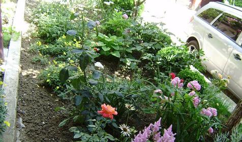 Территория. Гостевой дом Под соснами, Туапсинский район, п. Джубга