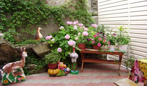 Двор. Гостевой дом В гостях у Геннадия, п. Джубга