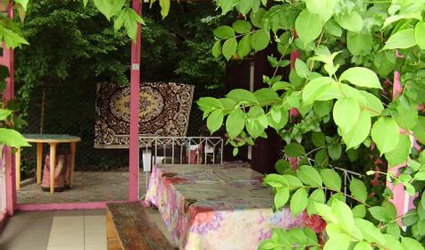 Двор. Гостевой дом В гостях у Геннадия, п. Джубга