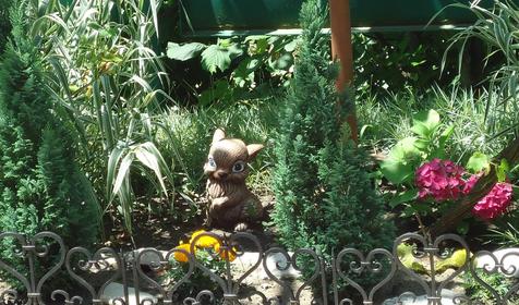 Гостевой дом Панорама, п. Ольгинка