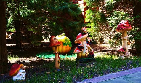 Территория. Гостевой дом Ах, Сказка, г. Геленджик, п. Криница