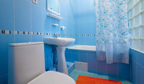 Санузел. Полулюкс четырехместный. Гостиница «Горная Лагуна», г. Сочи, п. Лоо