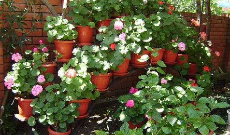 Гостевой дом Карина. Туапсе. Дедеркой