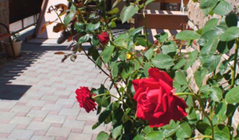 Территория. Гостевой дом Альпина, г. Геленджик, с. Дивноморское