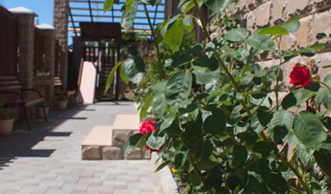 Территория. Гостевой дом Альпина, г. Геленджик, с. Дивноморское