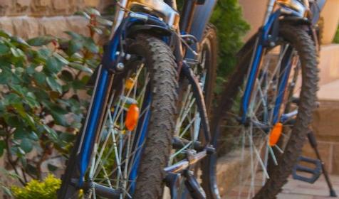 Территория. Гостевой дом Альпина, г. Геленджик, с. Дивноморское