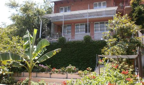 Территория. Гостевой дом Екатерина, г. Сочи, Лазаревский район, п. Лазаревское