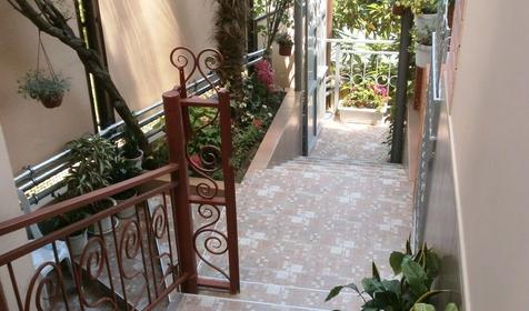 Территория. Гостевой дом Екатерина, г. Сочи, Лазаревский район, п. Лазаревское