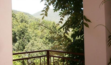 Территория. Гостевой дом Екатерина, г. Сочи, Лазаревский район, п. Лазаревское