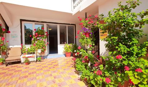 Территория. Гостевой дом Лунная соната, г. Сочи, Лазаревский р-н, п. Лоо