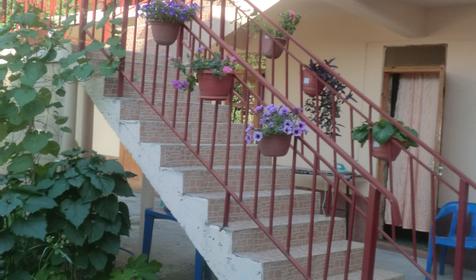 Частный гостевой дом Александр, г. Сочи, Лазаревский район, п. Лоо