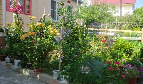 Частный гостевой дом Александр, г. Сочи, Лазаревский район, п. Лоо