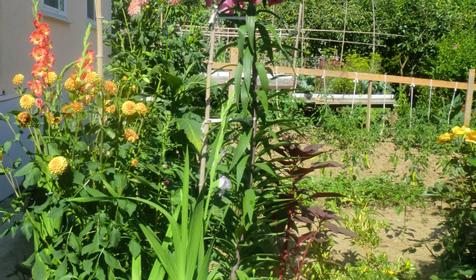 Частный гостевой дом Александр, г. Сочи, Лазаревский район, п. Лоо