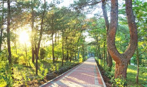 Санаторий Голубая даль, г. Геленджик, с. Дивноморское
