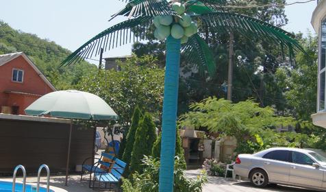 Пальма. Частный дом Наутилус, Туапсинский район, п. Новомихайловский