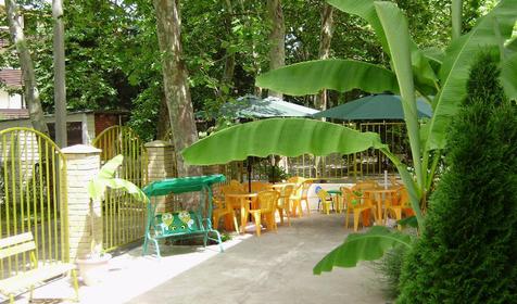 Двор, гостевой дом Паллада, Ольгинка