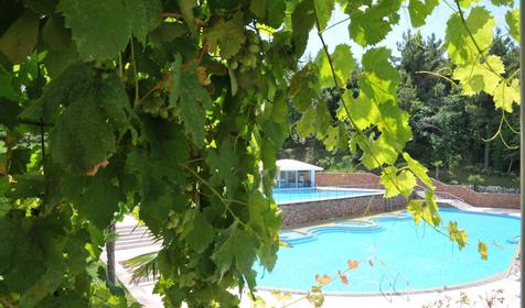 Отель Морской клуб, г. Геленджик, с. Дивноморское