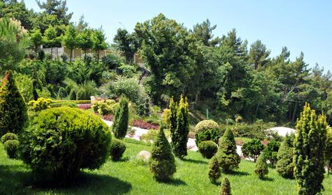 Отель Морской клуб, г. Геленджик, с. Дивноморское