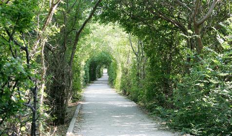 Аллея к морю. Частная мини-гостиница по ул. Строителей, 31, г. Анапа, п. Сукко