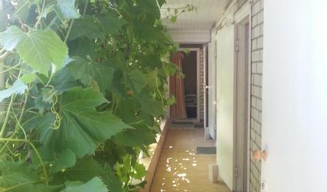 Гостевой дом Эдем, г. Геленджик, с. Архипо-Осиповка