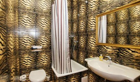 Санузел. Полулюкс четырехместный. Отель Rosa del Viento (Роза ветров), г. Туапсе