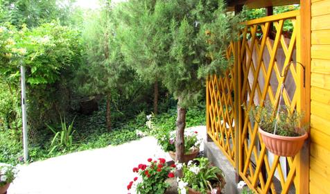 Двор, гостевой дом Изумруд, г. Новороссийск, с. Дюрсо