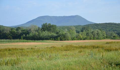 Территория. Отель Собер, р-н Северский, ст-ца Убинская